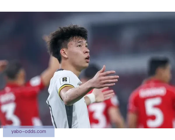 2026世界杯精彩比赛回放全解析精彩瞬间与战术亮点揭秘